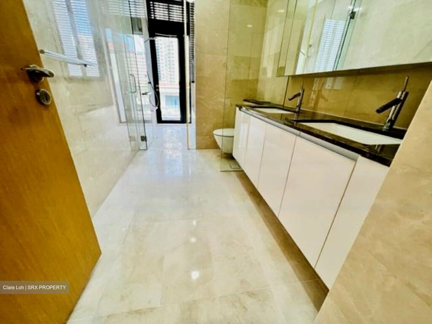 Buckley Road (D11), Condominium #438051561